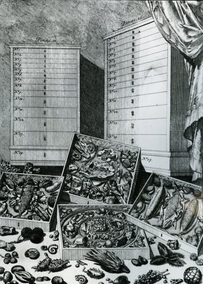 1719年に公開されたLevin St. Vincentによる「The List Tables」の表7 作： Dutch School